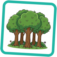 forest trees